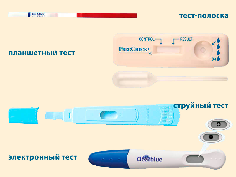 Как работает тест на беременность: на каком сроке показывает